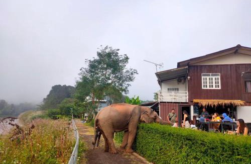 Mae Yao House | ริมกก โฮมสเตย์ rim-kok homestay