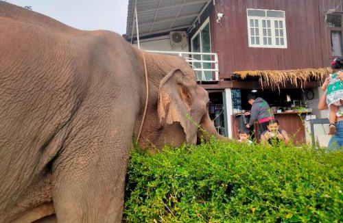 Mae Yao House | ริมกก โฮมสเตย์ rim-kok homestay