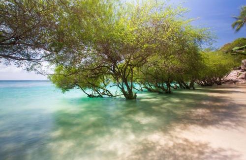 Koh Tao Resort | Koh Tao Relax Freedom Beach Resort