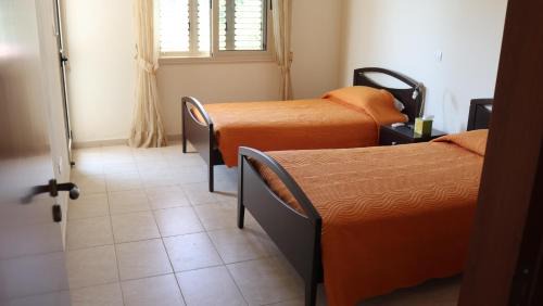 Mazotos Villa | Paradise Villa with Pool Mazotos
