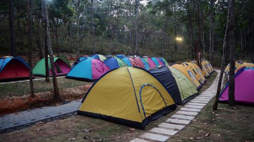 Traeng Trayueng Resort | vKirirom Pine Resort