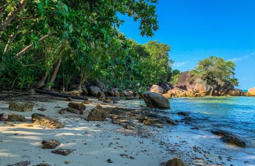 Wok Tum Resort | Golden Hill Resort