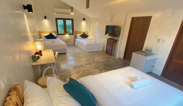 The Little White Bird Traveller Hostel