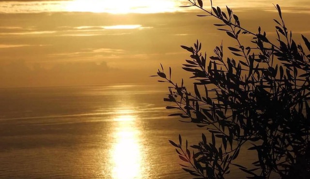 Villa Myrtia - Magnificent sea views in Corfu