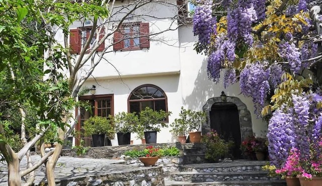 Wonderful Villa Thalia 4 Bedroom & guest house in zagora
