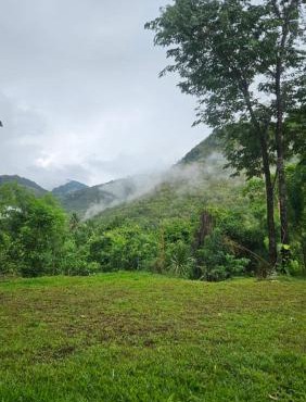 Wildlife Private Camp