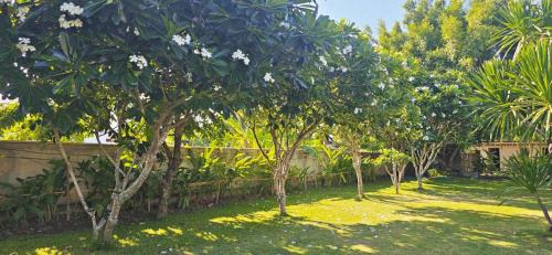 90 9 Pool Villa Chiang Mai