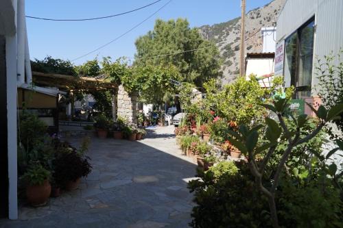Paralia Hotel & Taverna